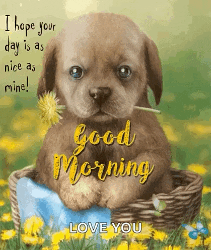 a puppy is in a basket with a dandelion in its mouth and says `` i hope your day is as nice as mine ``