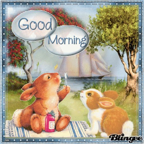 Good Morning Rabbits GIF - Good Morning Rabbits Bunnies GIFs