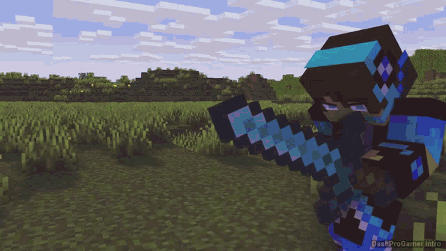 a screenshot of a person in a minecraft video game