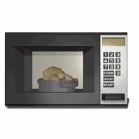 Microwave Turkey Microwave Chicken GIF - Microwave Turkey Microwave Chicken GIFs
