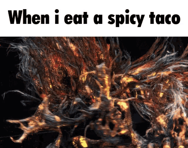 a meme that says when i eat a spicy taco with a picture of fire