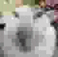 a pixelated image of a person 's face with a blurred background .