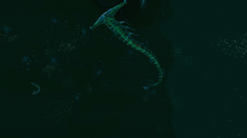 Subnautica Ghost Leviathan Scary Woo Ahh Wiggle GIF - Subnautica Ghost Leviathan Scary Woo Ahh Wiggle GIFs