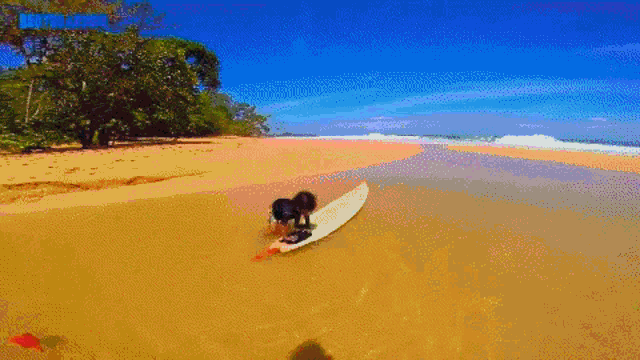 a person is kneeling on a surfboard on the beach