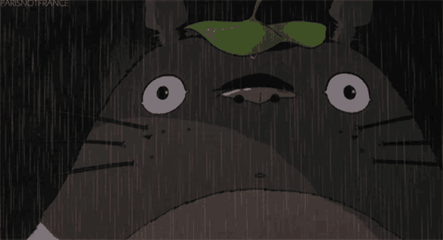 a cartoon of a cat with a green leaf on its head with the words parisnotfrance below it