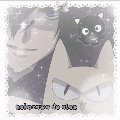 nekozawa de alex is written on a picture of a man and a cat