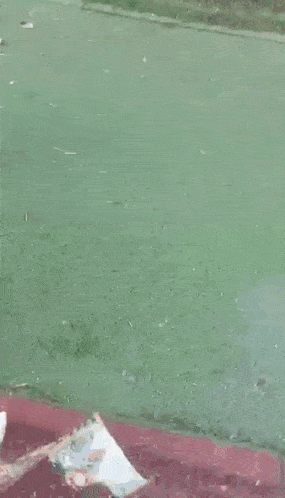 a person wearing a pair of nike shoes is standing on a grassy field .
