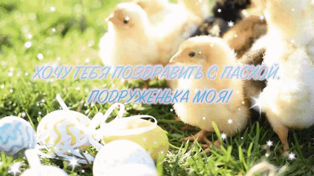 a greeting card with chickens and easter eggs with russian writing
