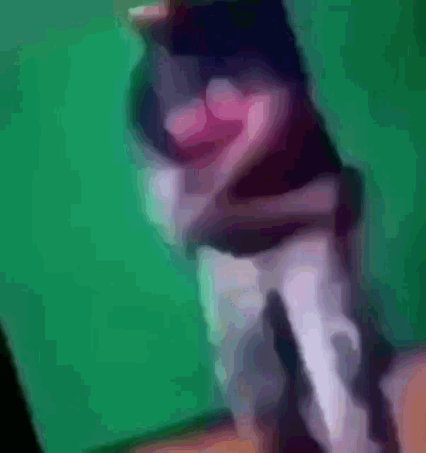 a blurry image of a person standing in front of a green background