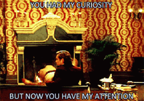Curiousity But GIF - Curiousity But Now GIFs