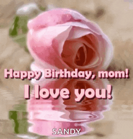 a pink rose with the words `` happy birthday , mom ! i love you ! '' is reflected in the water .