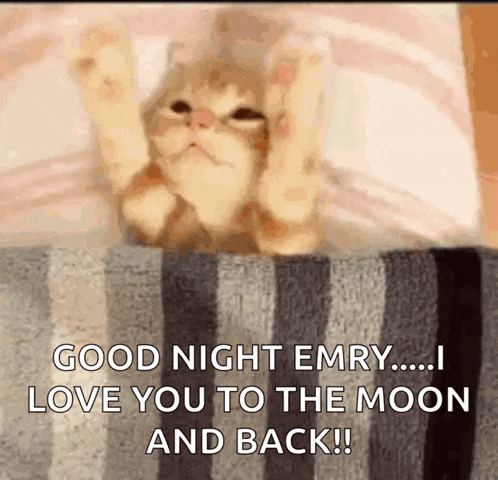 a cat is laying on a striped blanket and says good night emry i love you to the moon and back