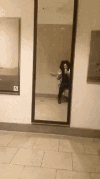 Justice Fields GIF