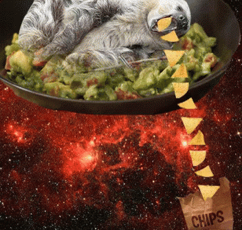 Chips GIF - Chips Guacamole Sloth GIFs