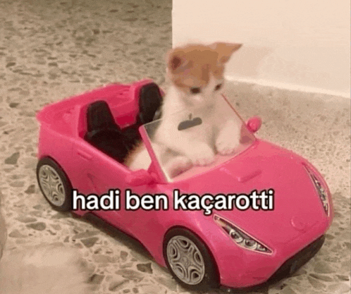 a kitten is sitting in a pink toy car with the words hadi ben kacarotti on the bottom