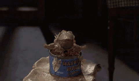 a can of maxwell house coffee with a plant in it .