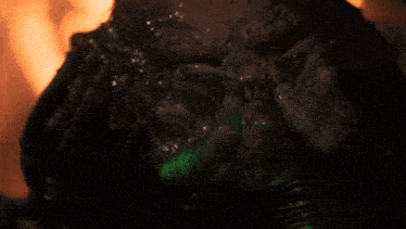 a close up of a predator 's face with a fire background