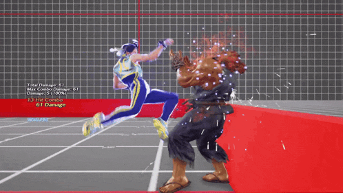 a video game screen shows a fighter with a total damage of 100