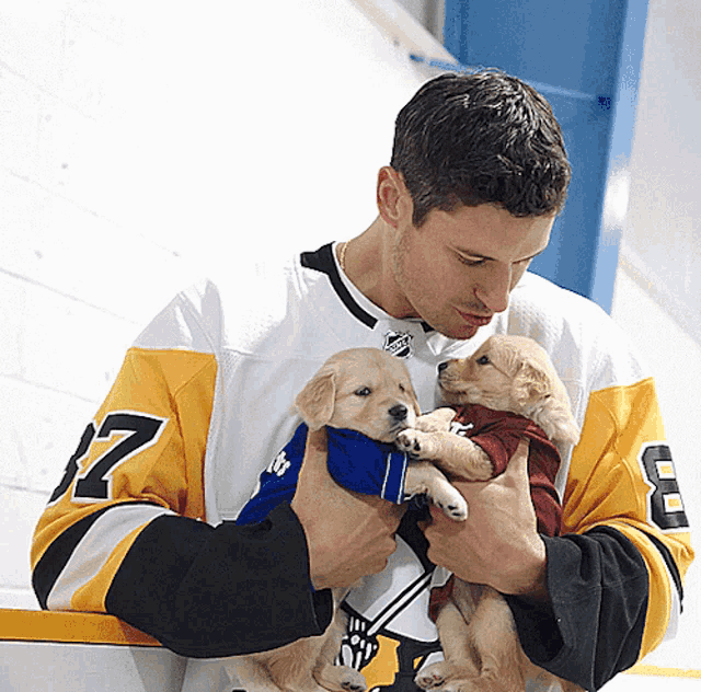 a man in a pittsburgh jersey holds two puppies