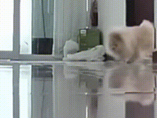 a bottle of perfume sits on a shelf in a room