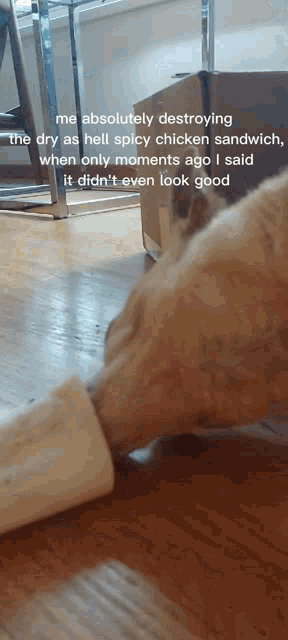 a picture of a cat with a caption that says me absolutely destroying