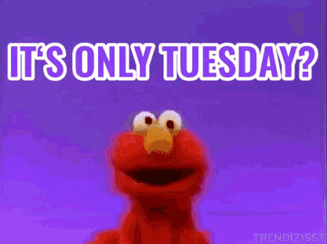 elmo says it 's only tuesday in white letters on a purple background