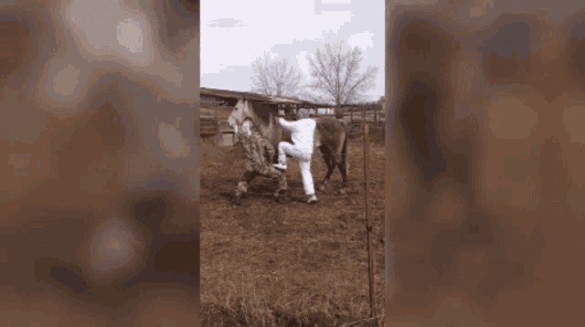 a man in a white shirt is riding a horse in a field