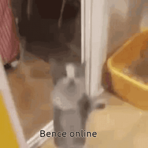 Bence Online GIF