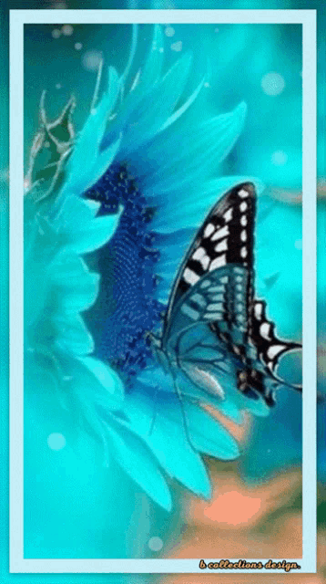 Creative Creativity GIF - Creative Creativity Butterfly GIFs
