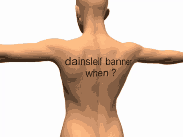 a man 's back has the words dainsleif banner when on it
