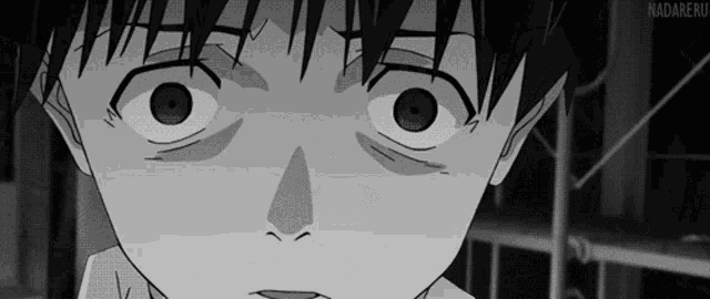 a black and white drawing of a boy 's face with the word nadareru written below it