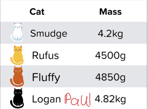 Logan Paul Cat Name GIF - Logan Paul Cat Name GIFs