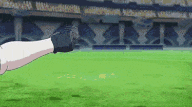 a person is kicking a ball on a soccer field in a stadium .