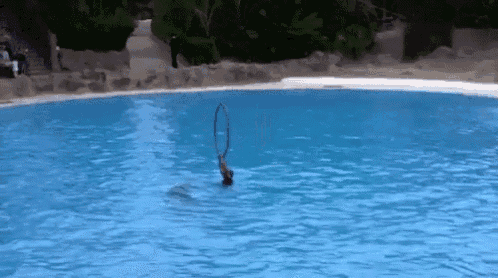 a person is doing a trick in a swimming pool with a hoop .