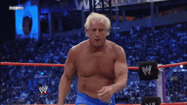knee-drop.gif