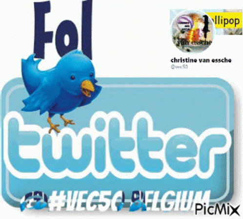 Follow On Twitter Vec50 GIF - Follow On Twitter Vec50 GIFs