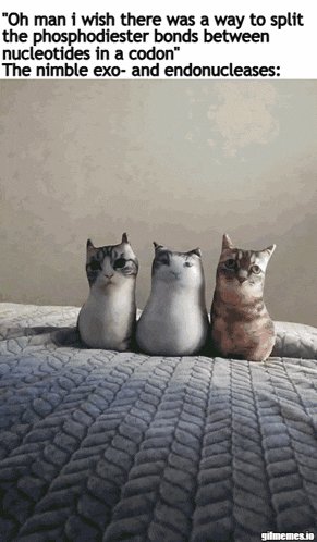 Biology Chemistry GIF