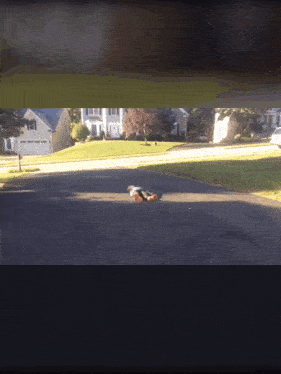 a person riding a skateboard down a street with houses in the background