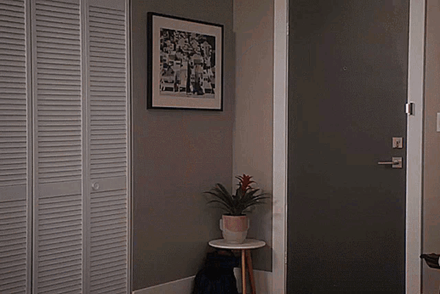 a picture of a basketball game hangs above a potted plant on a small table
