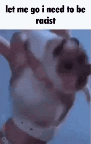 a hamster is being held in a person 's hand and is being racist .