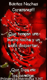 a red rose with the words buenas noches corazones written on it