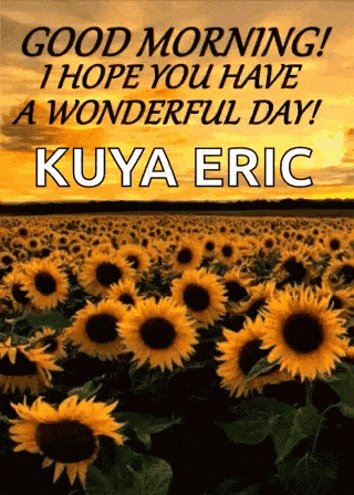 a field of sunflowers with the words `` good morning i hope you have a wonderful day kuya eric ''