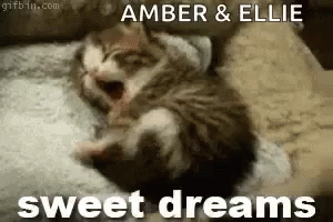 Sweet Dreams Sleep GIF - Sweet Dreams Sleep Tired GIFs