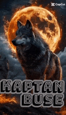 a painting of a wolf with the words kaptan buse on the bottom