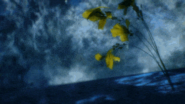 a painting of yellow flowers with a blue background