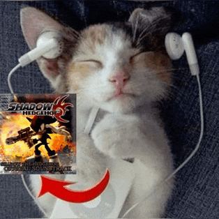 a cat is listening to shadow the hedgehog music on an ipod