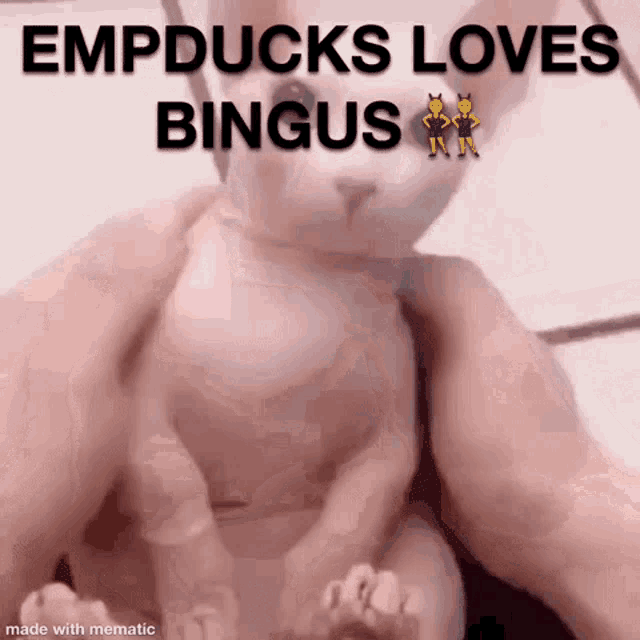 Emp Ducks Bingus GIF - Emp Ducks Bingus Loves GIFs