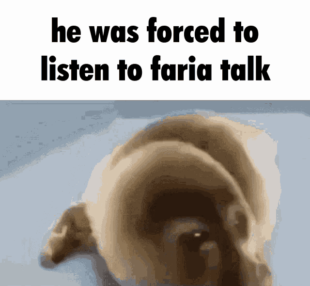 Faria He Was Forced To GIF - Faria He Was Forced To He Was Forced To Eat Cement GIFs