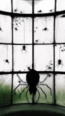 a window with spiders hanging from it and a silhouette of a spider