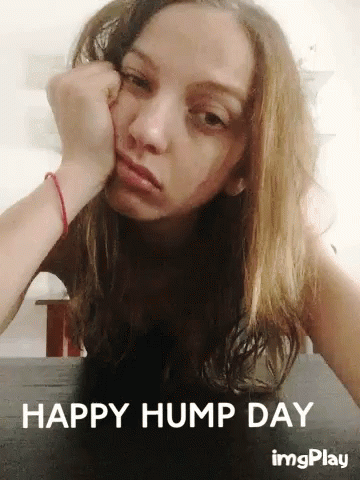Wednesday Happy Hump Day GIF - Wednesday Happy Hump Day GIFs